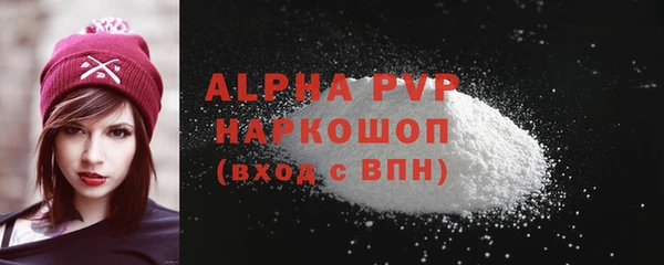 СК Касимов