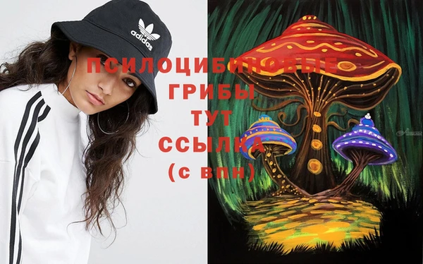 таблы Карпинск