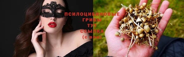 СК Касимов