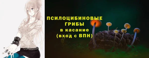 СК Касимов