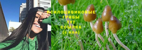 СК Касимов